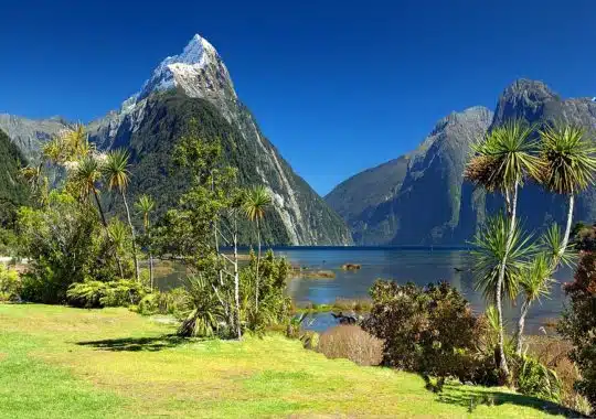 Why you Need to Visit New Zealand in This Lifetime