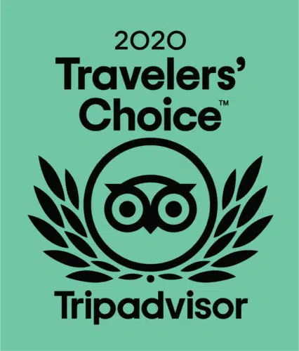 You’re a 2020 Travelers’ Choice Award Winner1