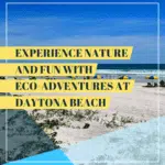 Experience Nature And Fun With Eco-Adventures At Daytona Beach