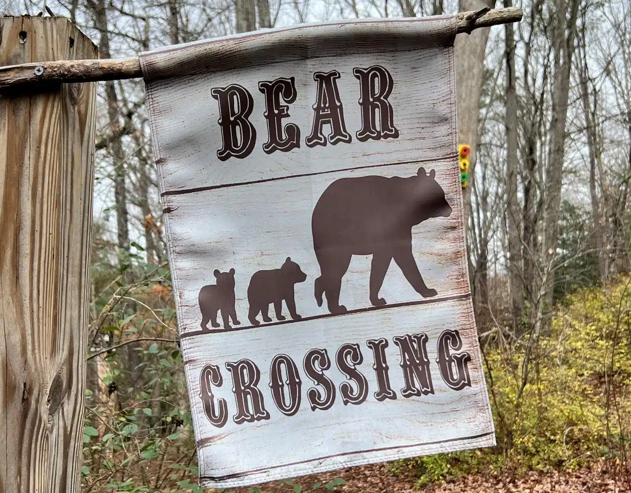 Check out the bear crossing walking trail