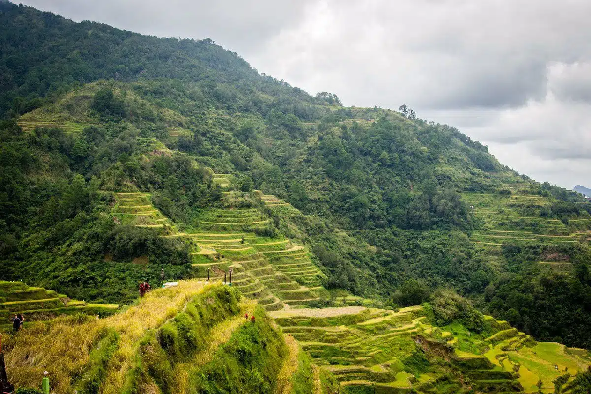 Banaue Rice Terraces in Philippines