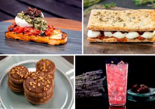 Satisfy Your Cravings at EPCOT International Food & Wine Festival