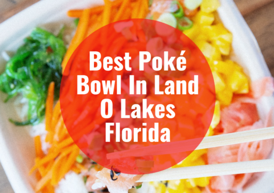 Best Poke Bowl In Land O Lakes Florida