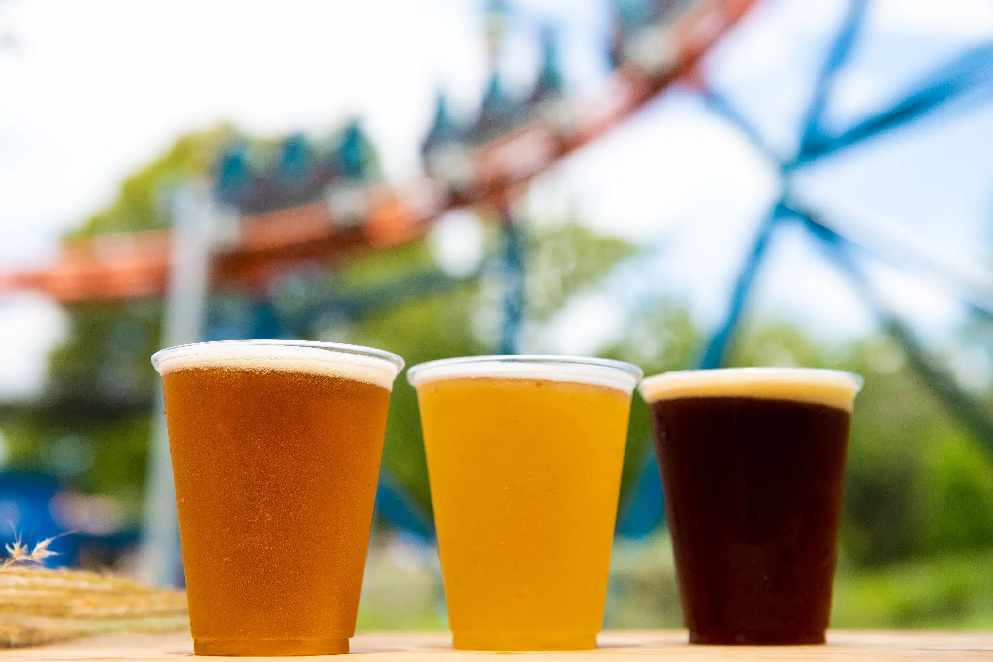 Craft Beer Festival at SeaWorld Orlando