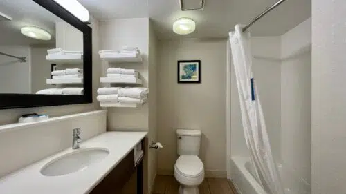 Hampton Inn Mount Dora bathroom