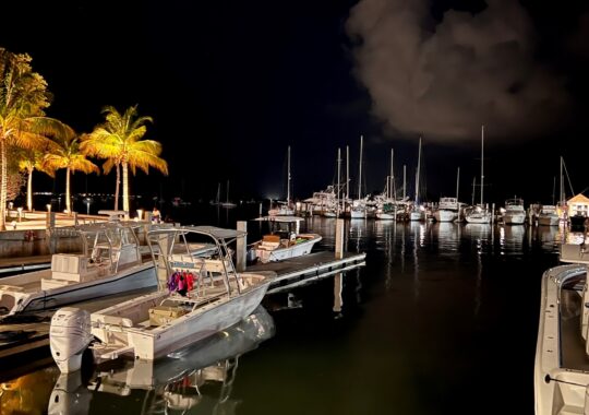 Unforgettable Dining Experience at Bayshore Club in Miami’s Captivating Marina