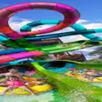 Aquatica Orlando Invites Families To Dive Into Fall With A Splash