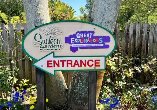 Play, Learn, And Grow At Great Explorations In St. Petersburg Florida