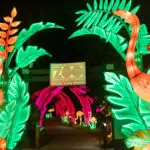 Enchanting Nights: Central Florida Zoo’s Asian Lantern Festival Illumination