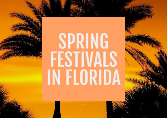 Embrace the Season: A Guide to Spring Festivals in Florida