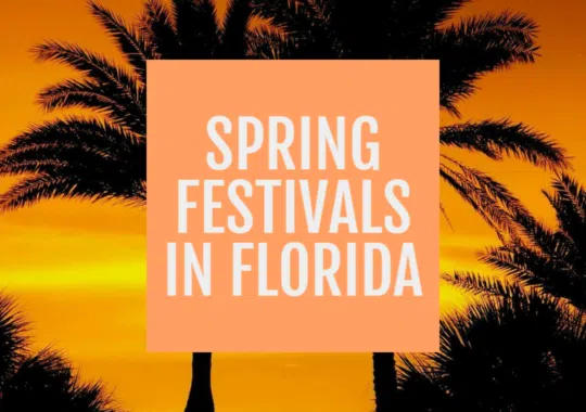 Embrace the Season: A Guide to Spring Festivals in Florida