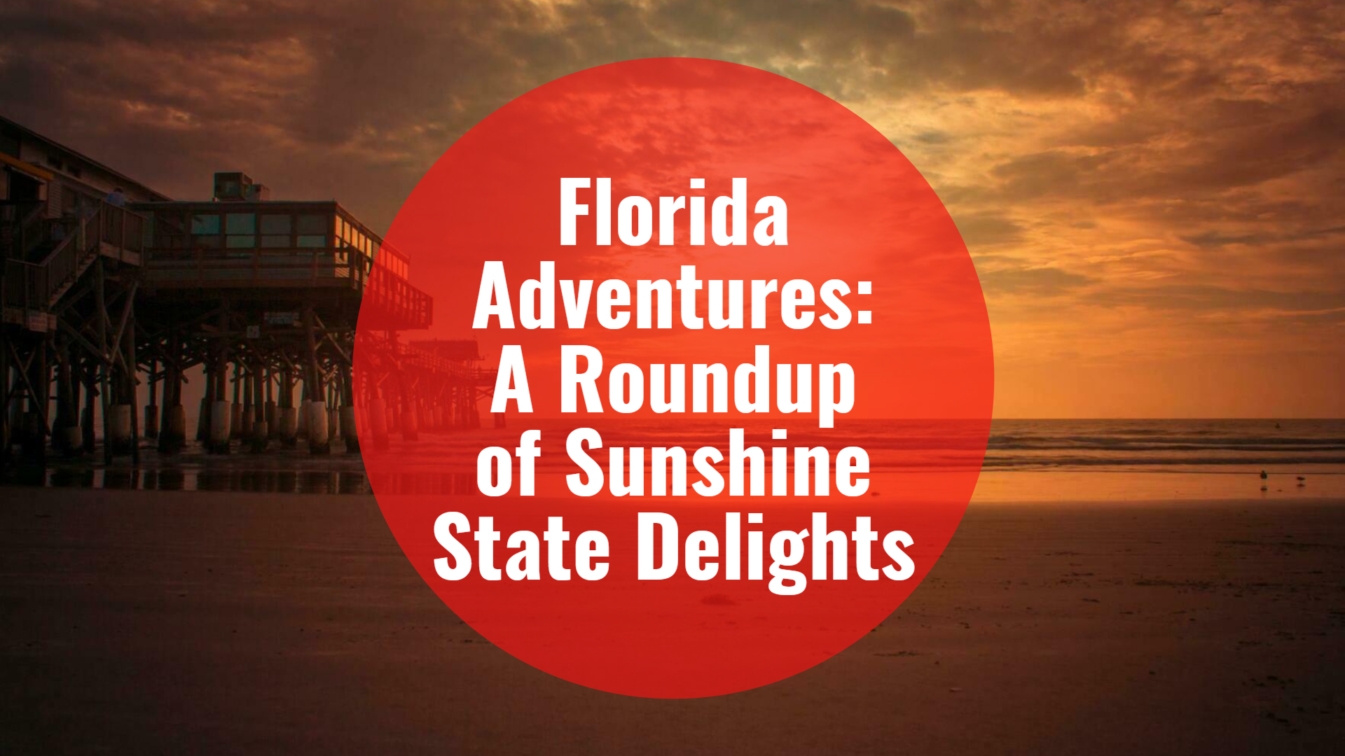 Florida Adventures A Roundup of Sunshine State Delights