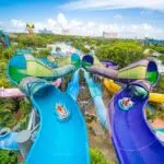 Summer At Aquatica Orlando: Unveil An Unforgettable Summer Adventure