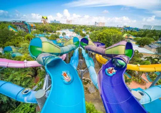 Summer At Aquatica Orlando: Unveil An Unforgettable Summer Adventure