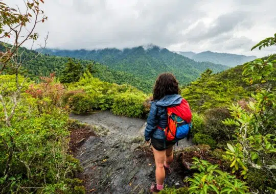 For Nature Lovers: 10 Fun Activities to Try in the Smoky Mountains