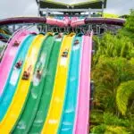 Explore Five Compelling Reasons To Celebrate National Waterpark Day At Aquatica Orlando