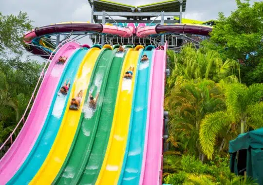Explore Five Compelling Reasons To Celebrate National Waterpark Day At Aquatica Orlando