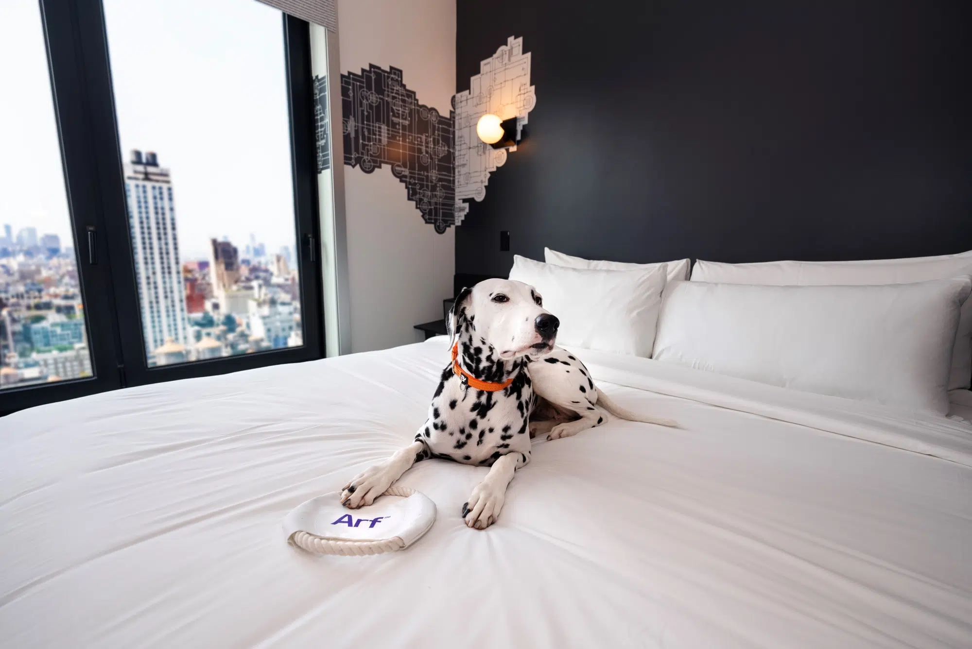 Aloft Hotels celebrates 'working dogs' for International Dog Day