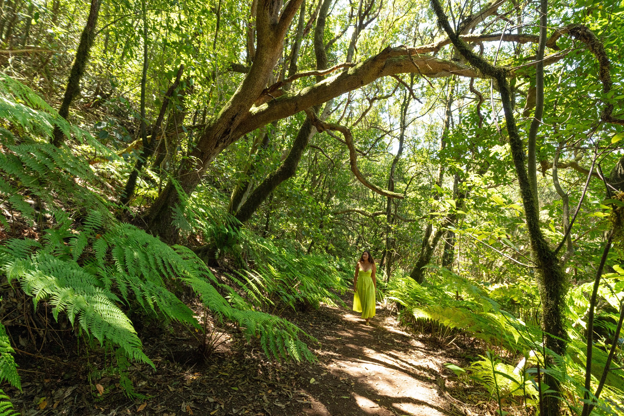 Tenerife Hiking Trials