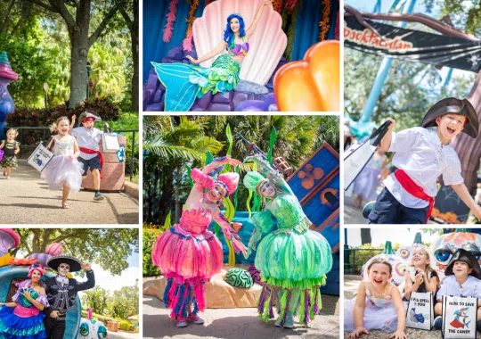 Orlando Adventures Await: Culinary Delights, Hidden Stays, and Spooktacular Fun