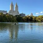 Central Park in New York City Review