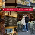 Le Pain Quotidien in Central Park New York Review